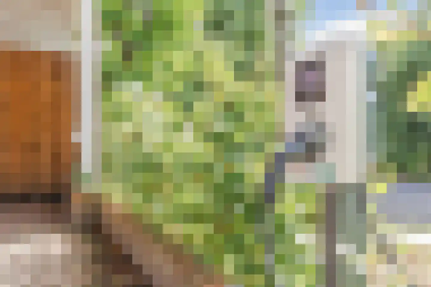 Van Doesburglaan 25 Wageningen thumbnail 39