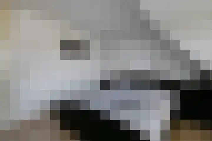 Van Doesburgstraat 22 Amersfoort thumbnail 15