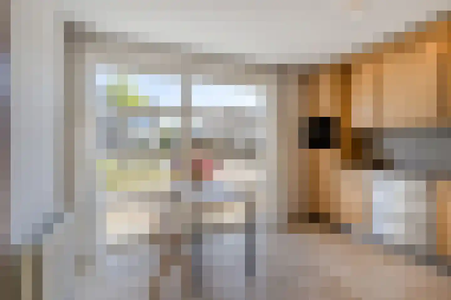 Van Doesburgstraat 4 Roermond thumbnail 22