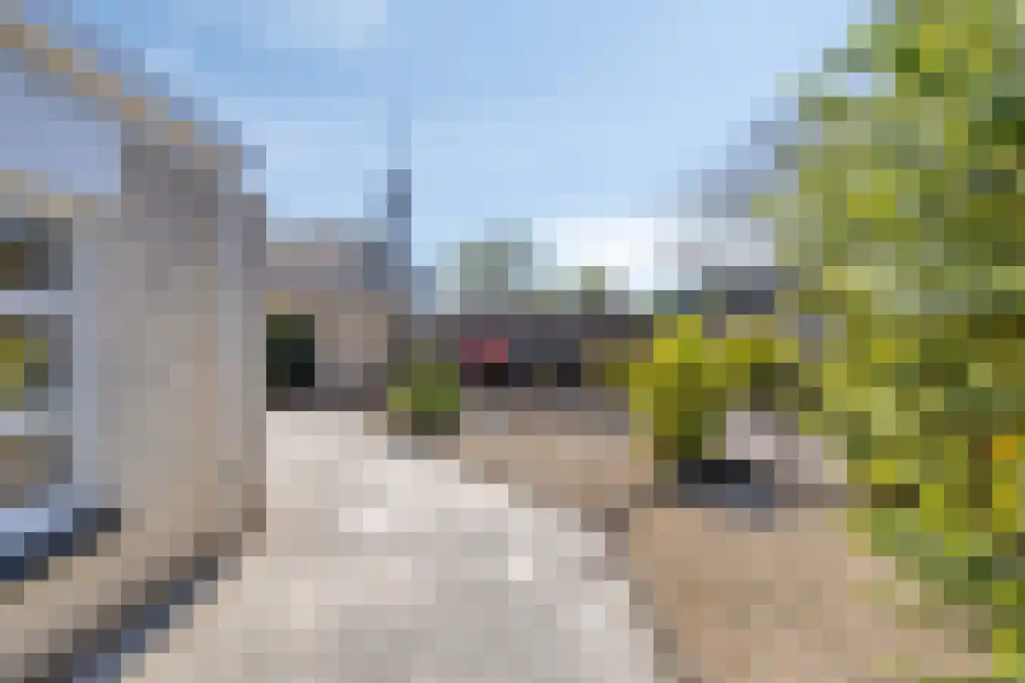 Van Doesburgstraat 4 Roermond thumbnail 45