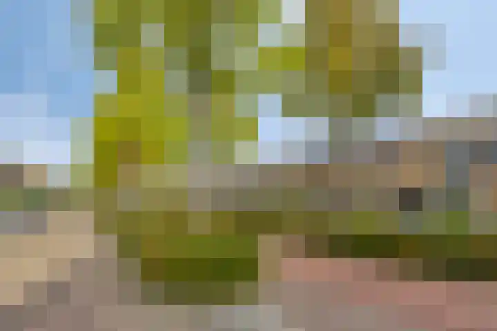 Van Doesburgveld 38 Barendrecht thumbnail 42