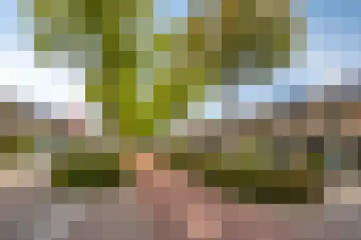 Van Doesburgveld 38 Barendrecht thumbnail 44