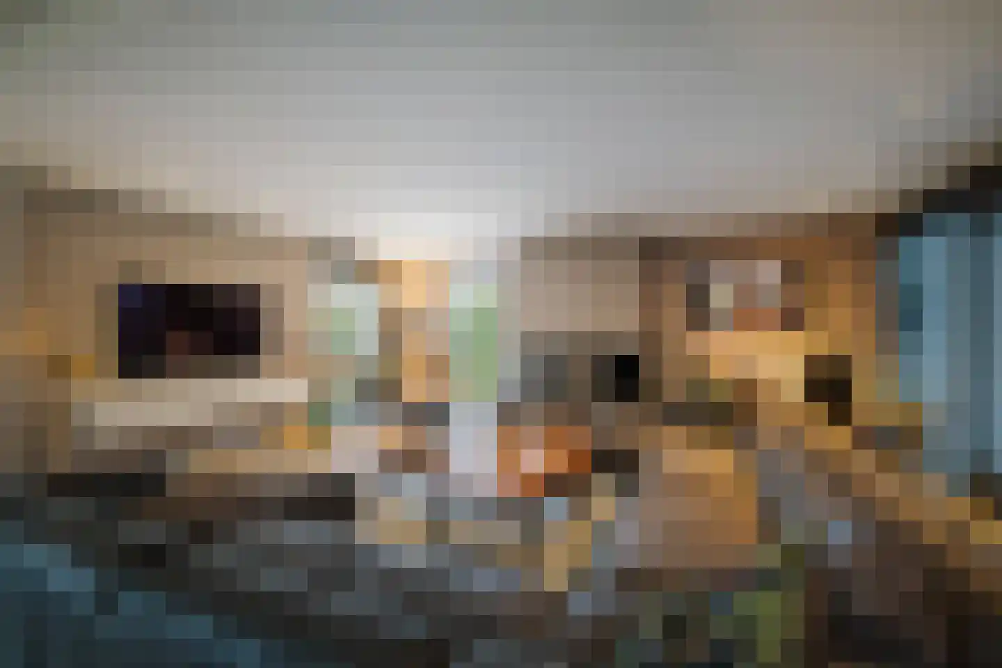 van Doetinchemlaan 2 Diepenveen thumbnail 14