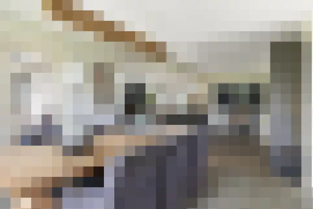 van Doetinchemlaan 2 Diepenveen thumbnail 14