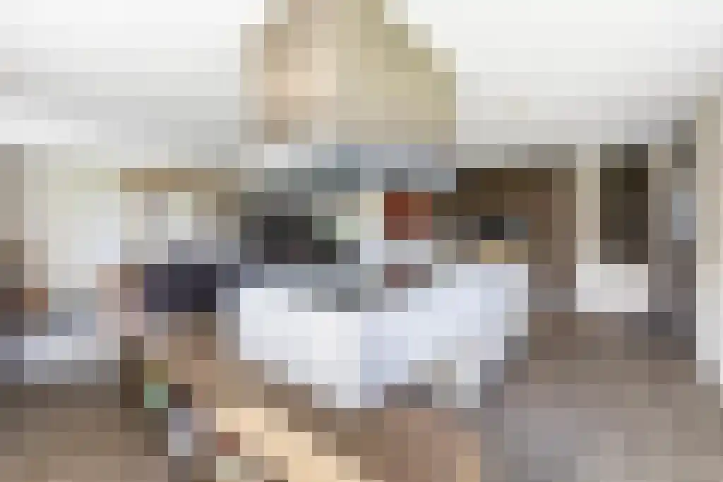 van Doetinchemlaan 2 Diepenveen thumbnail 19