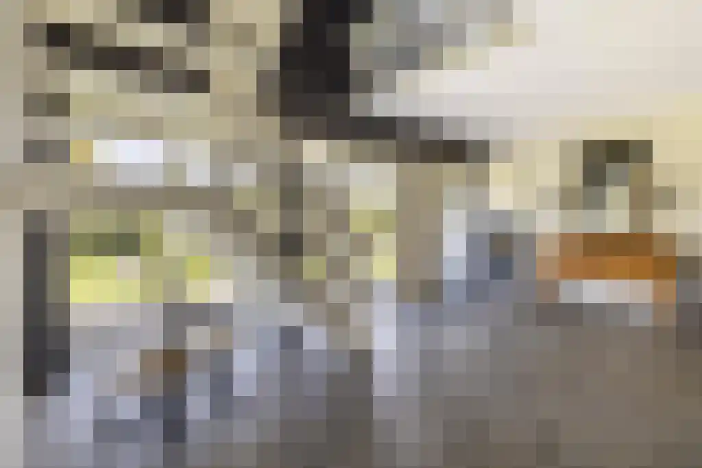 van Doetinchemlaan 2 Diepenveen thumbnail 22