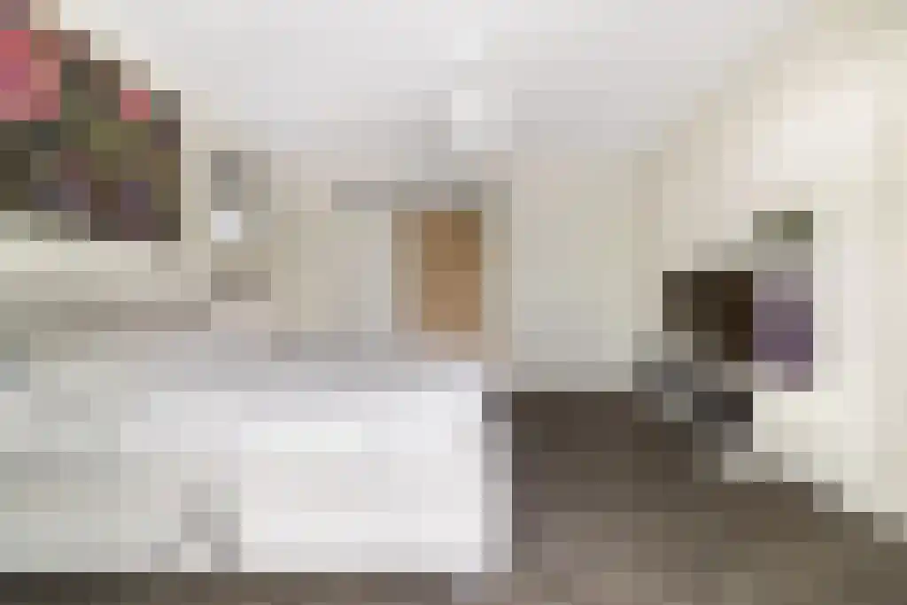 van Doetinchemlaan 2 Diepenveen thumbnail 25