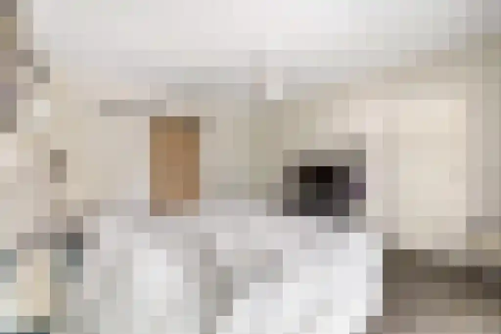van Doetinchemlaan 2 Diepenveen thumbnail 26