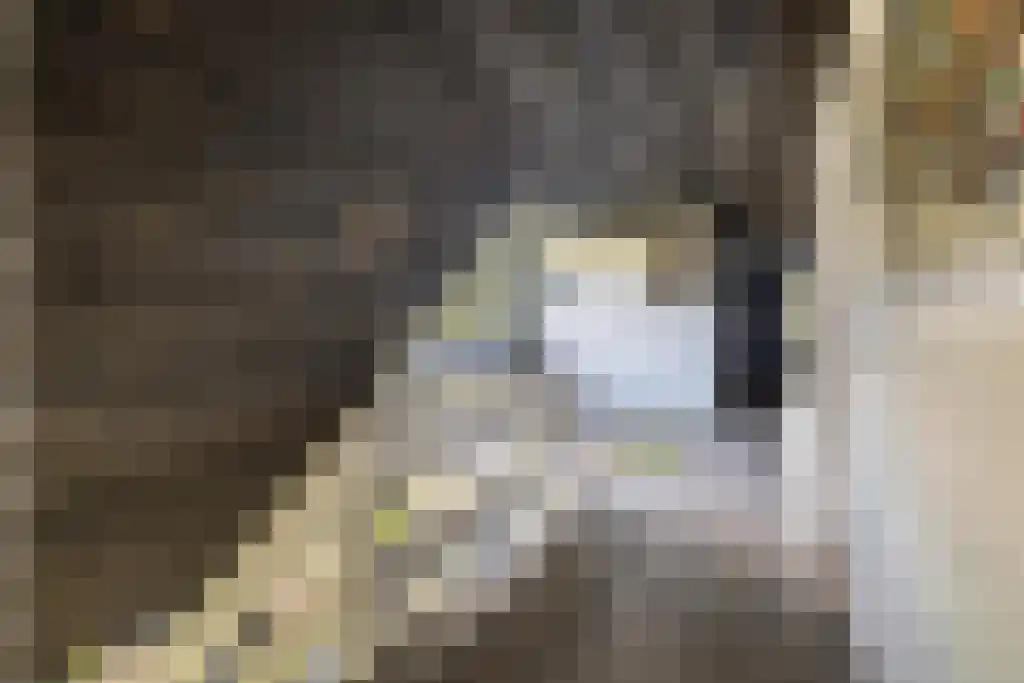 van Doetinchemlaan 2 Diepenveen thumbnail 32
