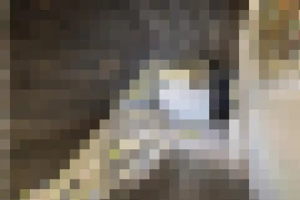 van Doetinchemlaan 2 Diepenveen thumbnail 34