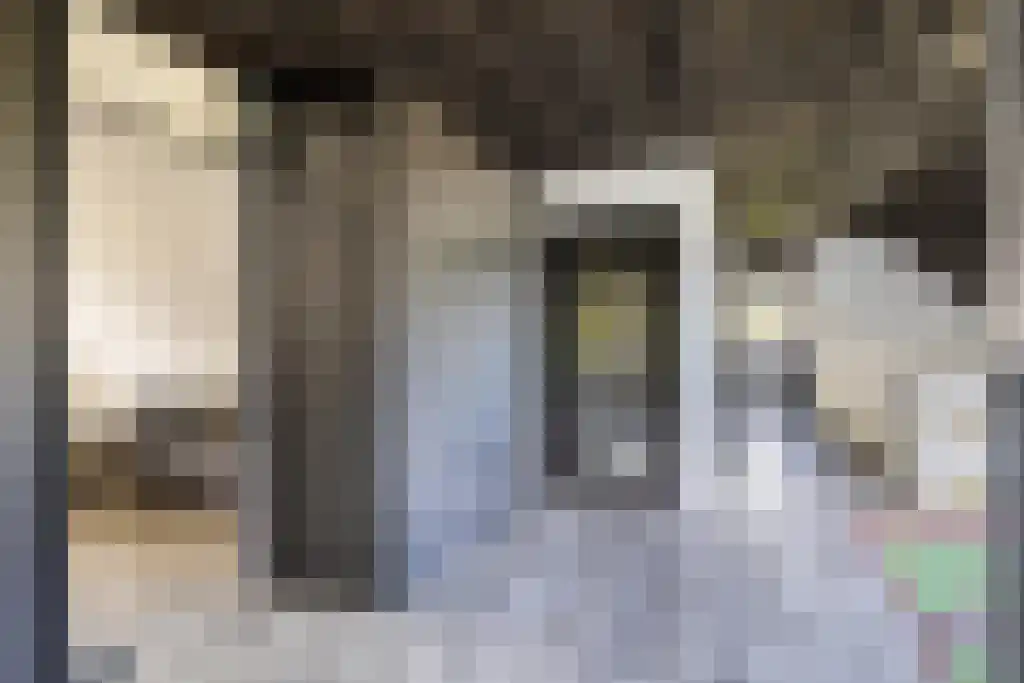 van Doetinchemlaan 2 Diepenveen thumbnail 34
