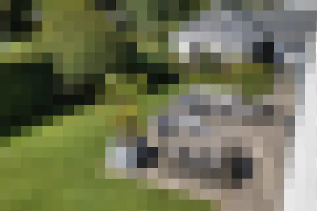 van Doetinchemlaan 2 Diepenveen thumbnail 38