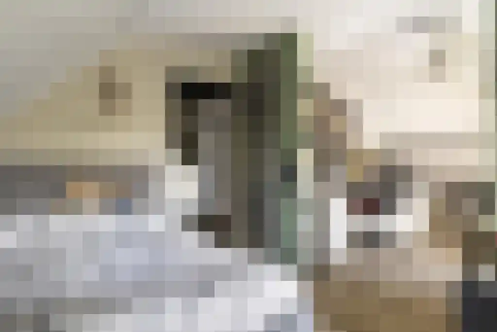 van Doetinchemlaan 2 Diepenveen thumbnail 45