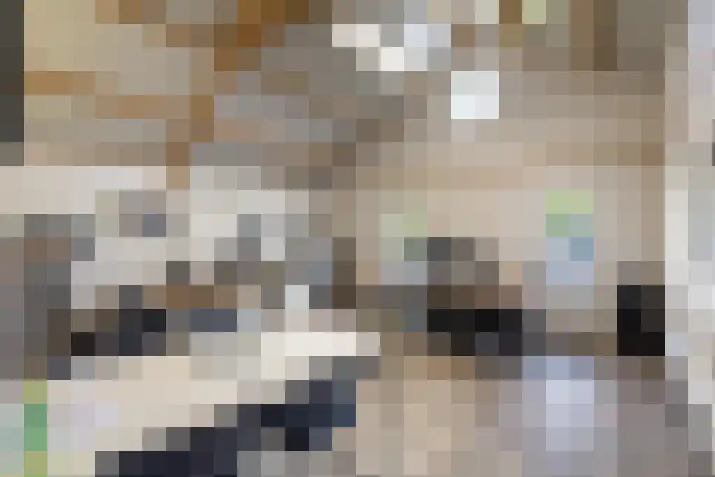 van Doetinchemlaan 2 Diepenveen thumbnail 51