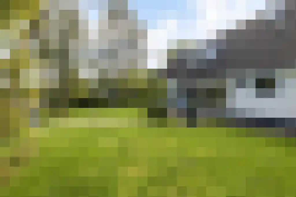 van Doetinchemlaan 2 Diepenveen thumbnail 64