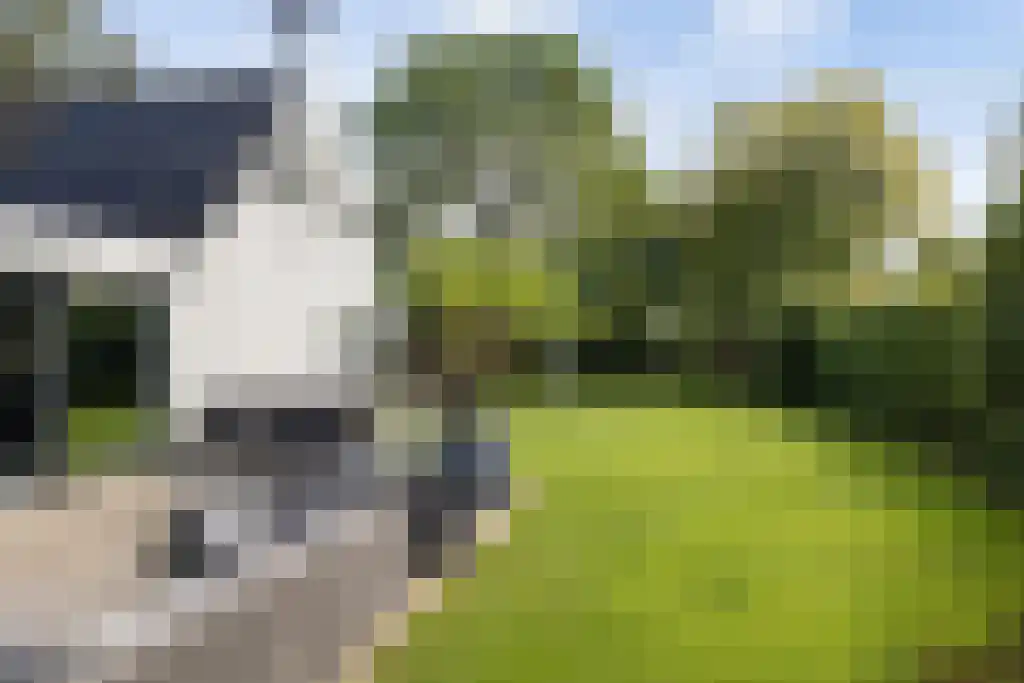 van Doetinchemlaan 2 Diepenveen thumbnail 65