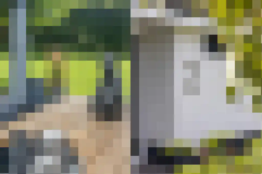 van Doetinchemlaan 2 Diepenveen thumbnail 67