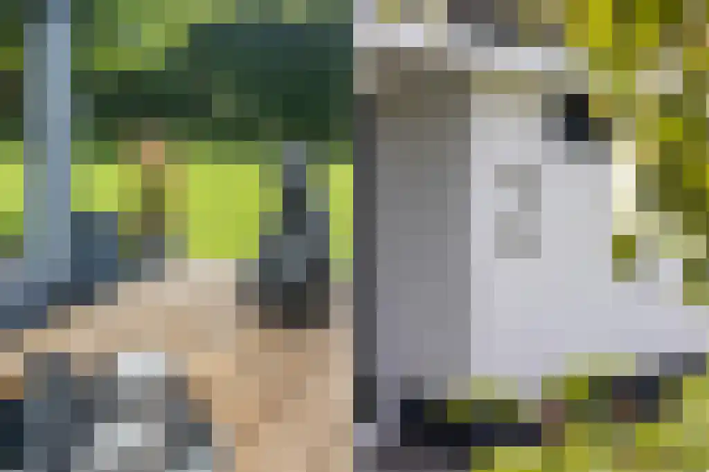 van Doetinchemlaan 2 Diepenveen thumbnail 69