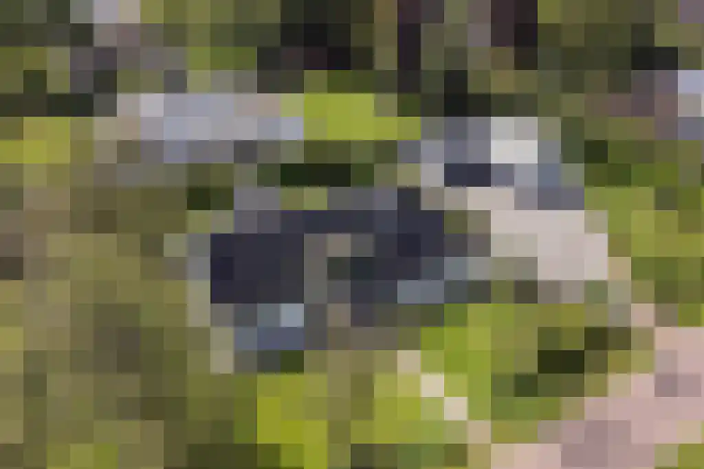 van Doetinchemlaan 2 Diepenveen thumbnail 71