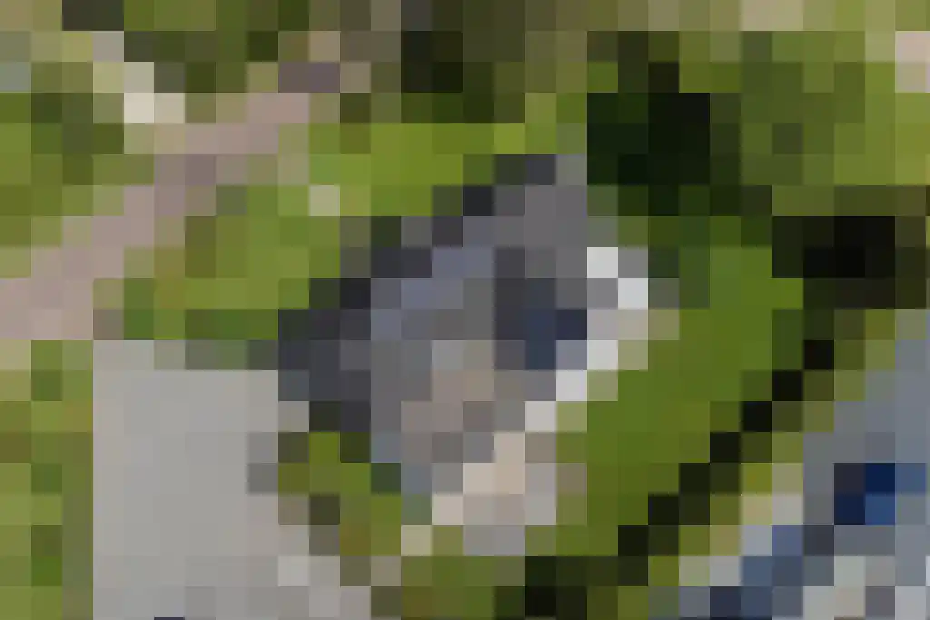 van Doetinchemlaan 2 Diepenveen thumbnail 72