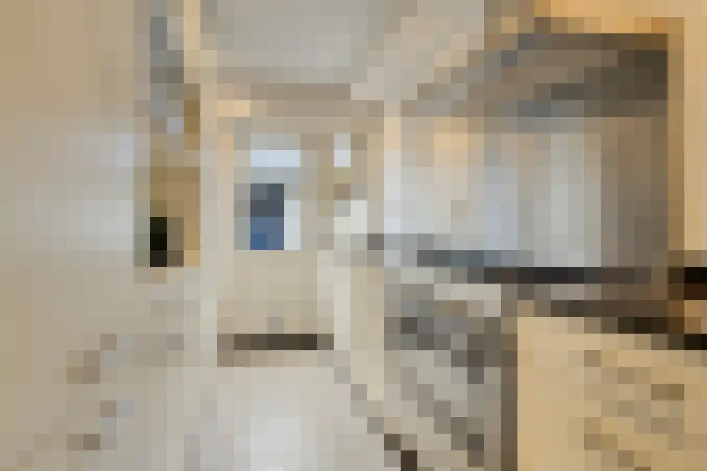 Van Doetinchemstraat 5 Deventer thumbnail 10