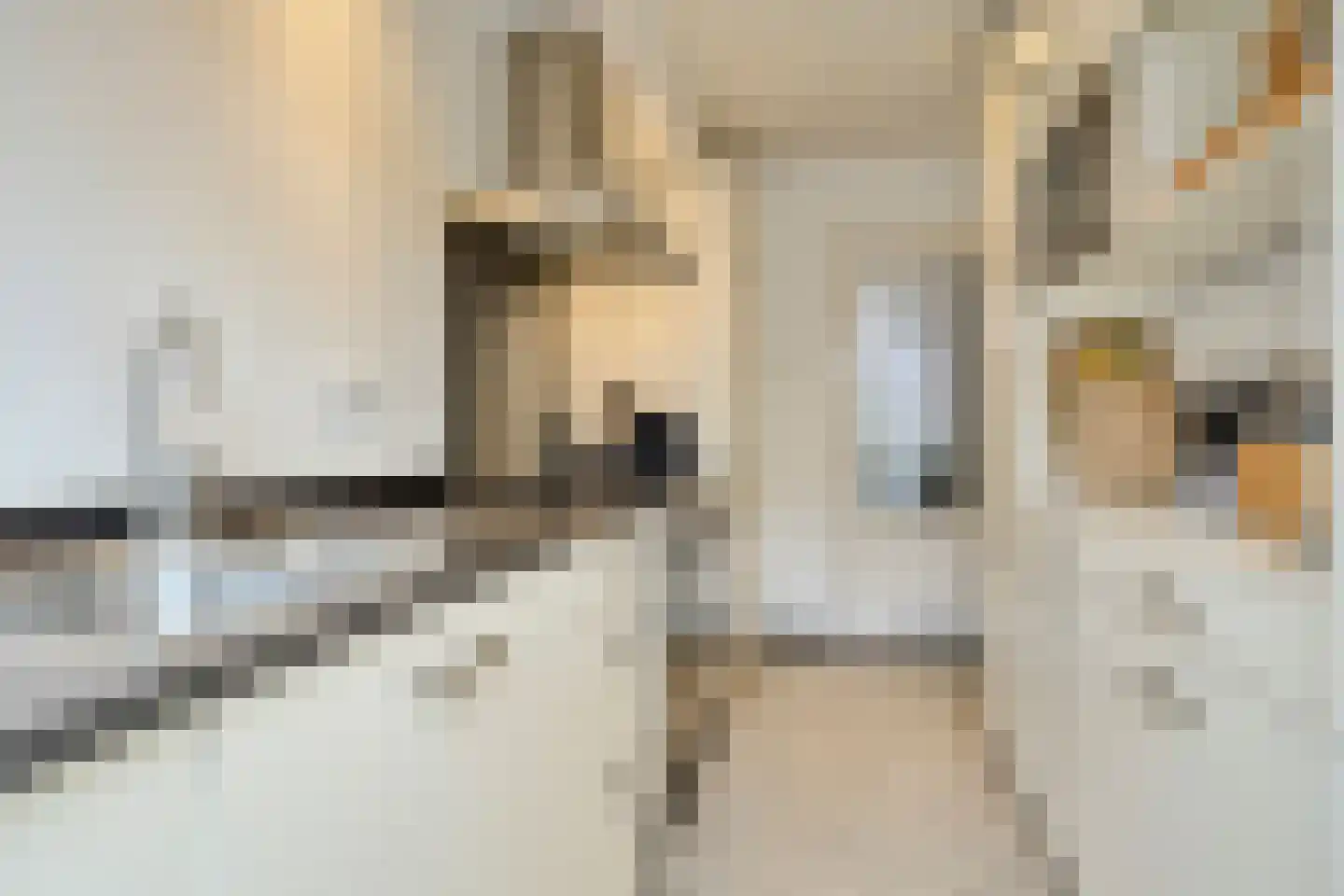 Van Doetinchemstraat 5 Deventer thumbnail 11
