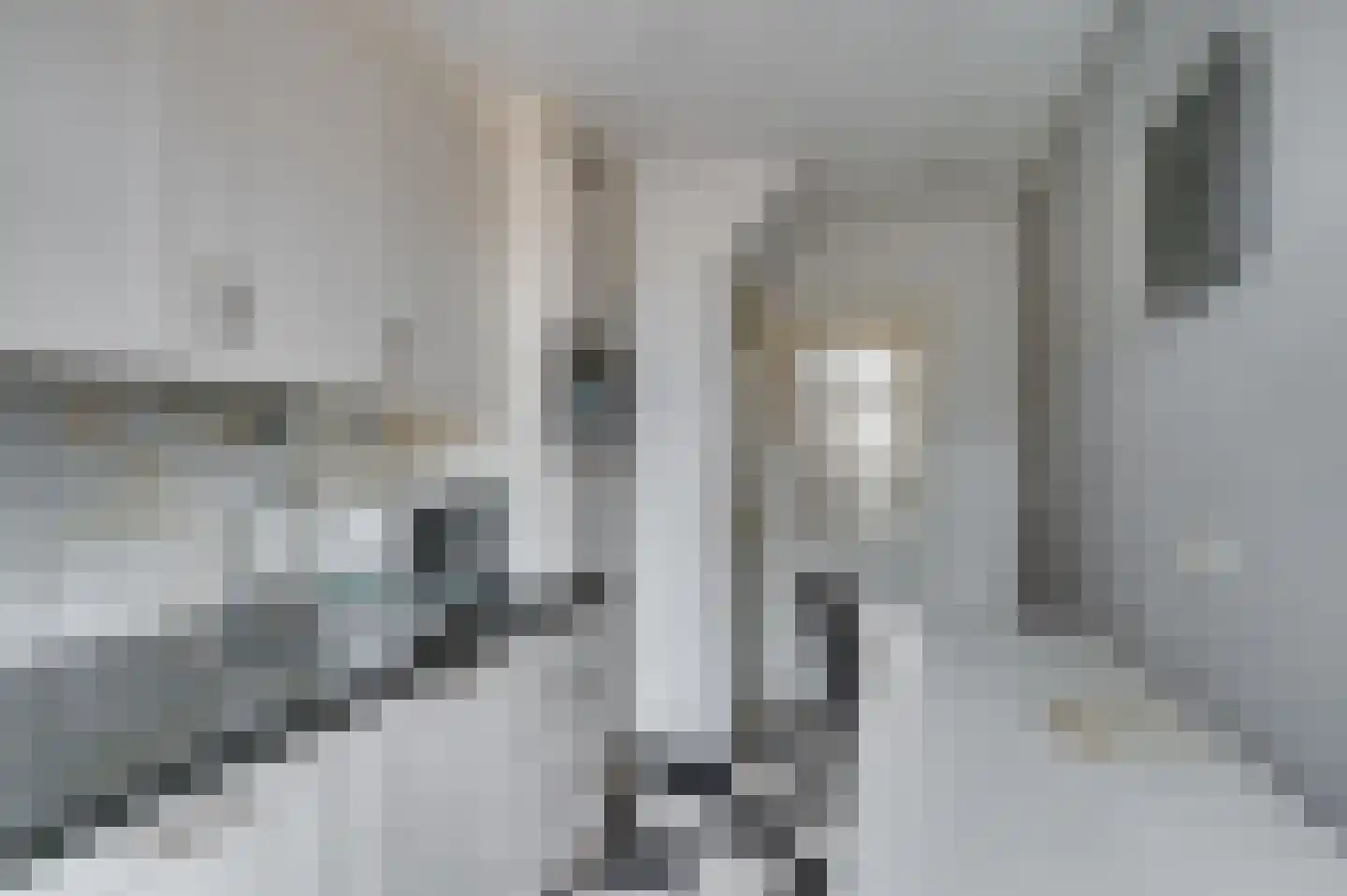 van Dolhoffstraat 17 Venlo thumbnail 8