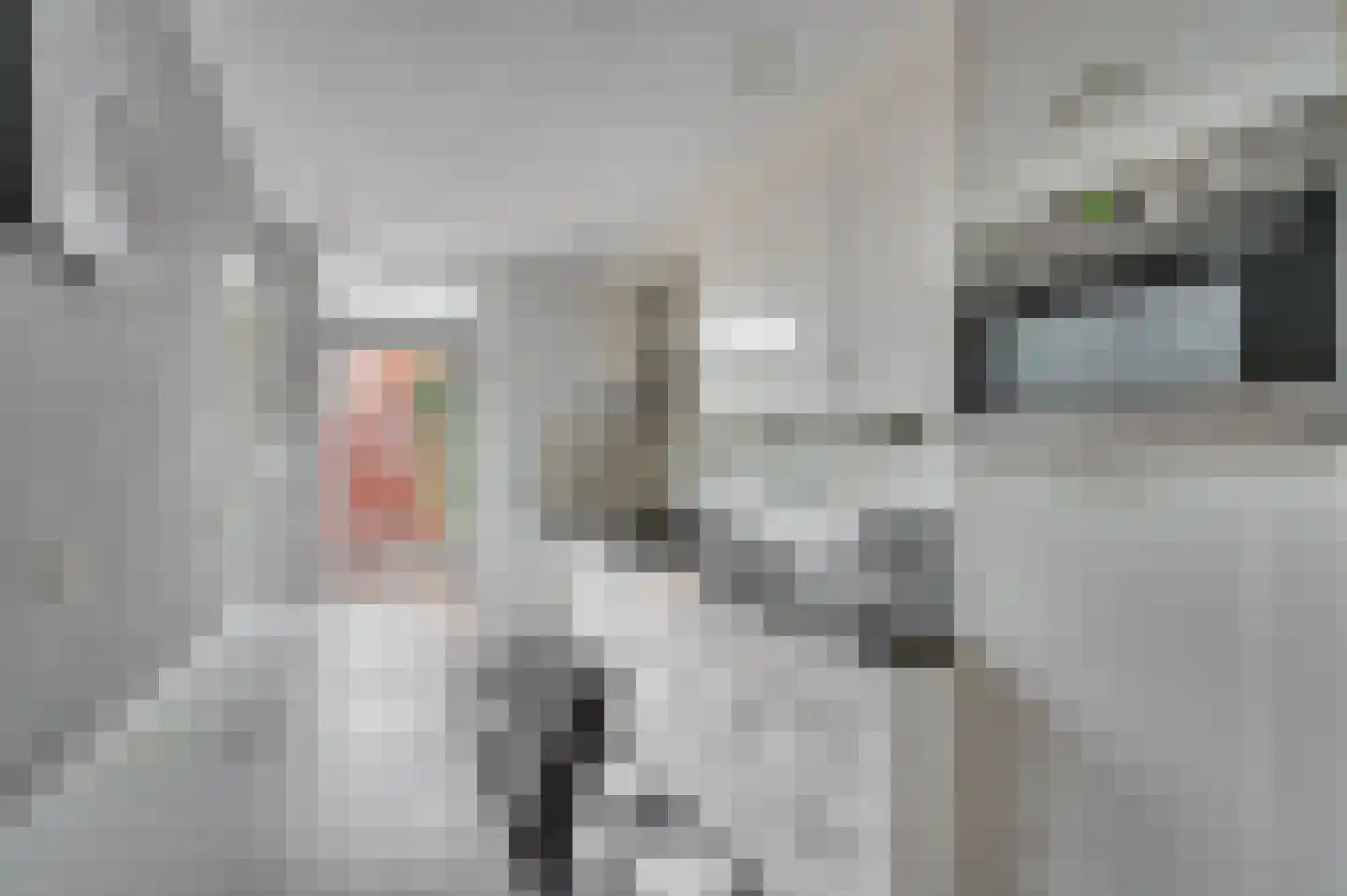 van Dolhoffstraat 17 Venlo thumbnail 9