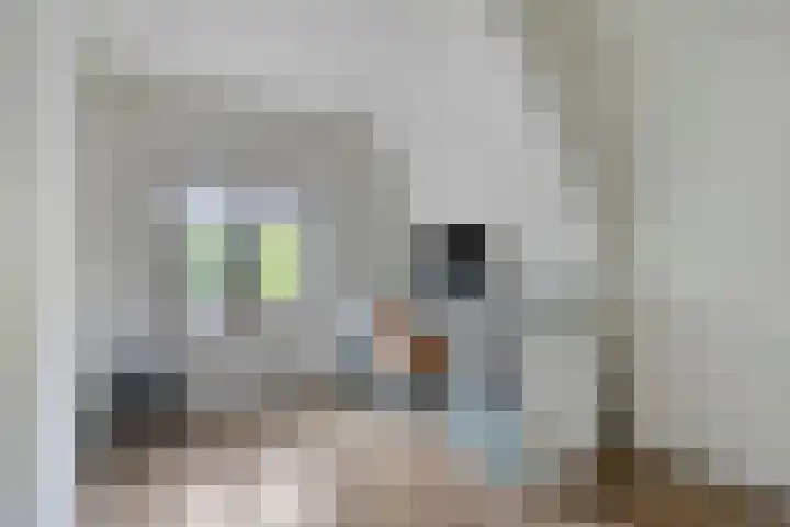 Van Dompselaerstraat 27 Barneveld thumbnail 20