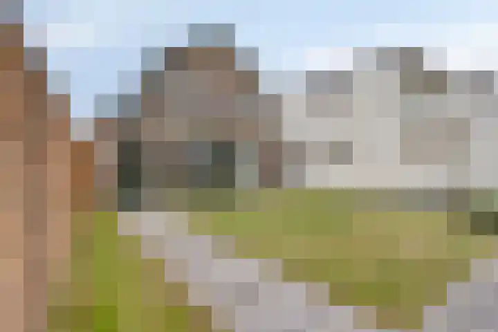 Van Dompselaerstraat 27 Barneveld thumbnail 24