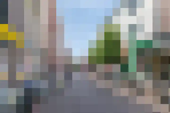 Van Dompselaerstraat 27 Barneveld thumbnail 28