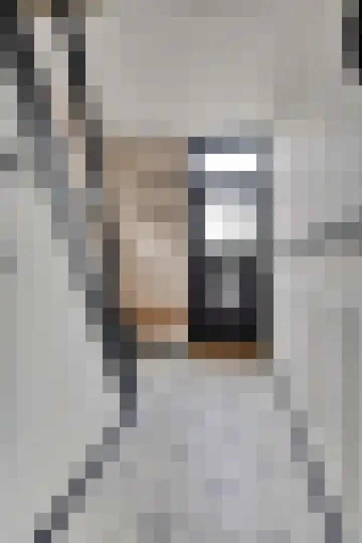 Van Dompselaerstraat 27 Barneveld thumbnail 5
