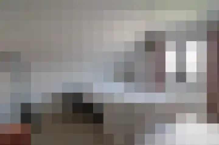 Van Dompselaerstraat 66 Barneveld thumbnail 37