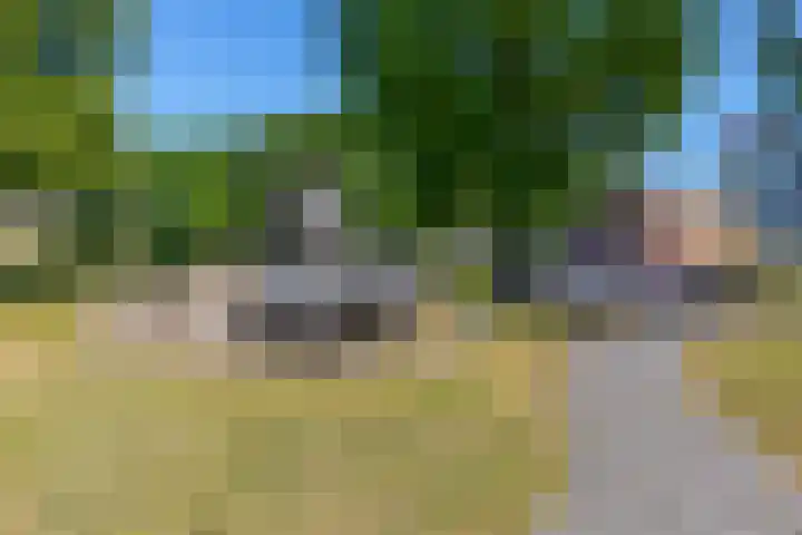 Van Dompselaerstraat 66 Barneveld thumbnail 89