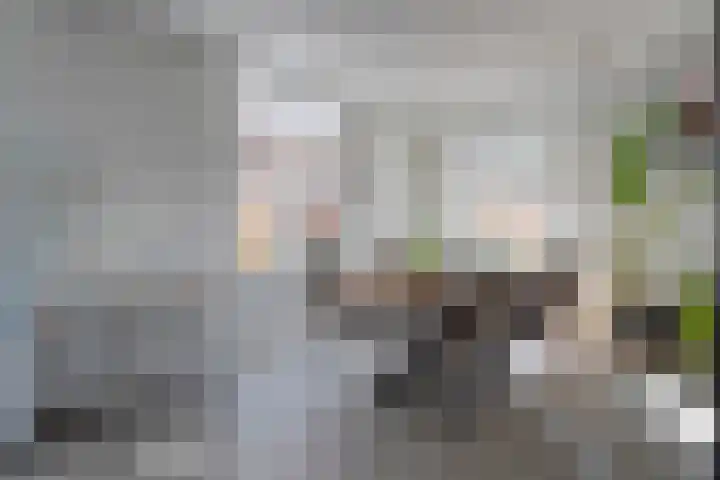 van Dongenstraat 11 Broekland thumbnail 12