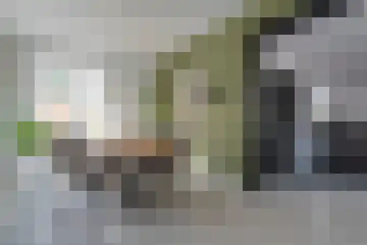 van Dongenstraat 11 Broekland thumbnail 13