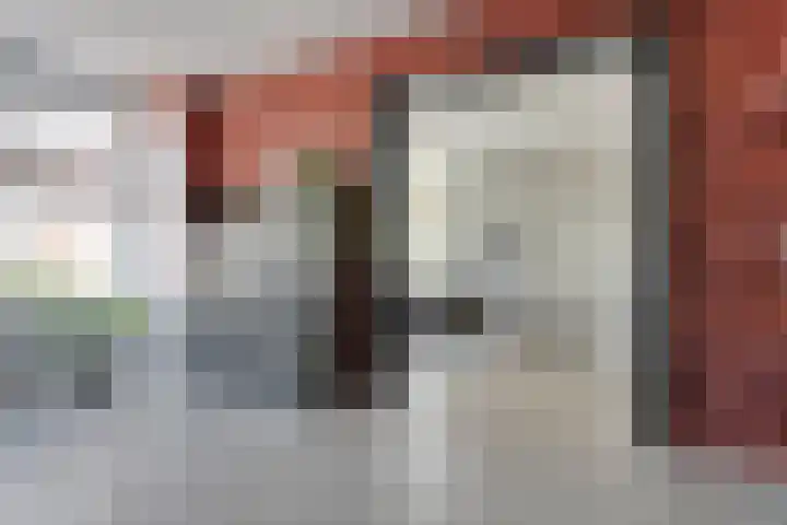 van Dongenstraat 11 Broekland thumbnail 15