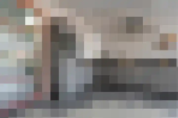 van Dongenstraat 11 Broekland thumbnail 16