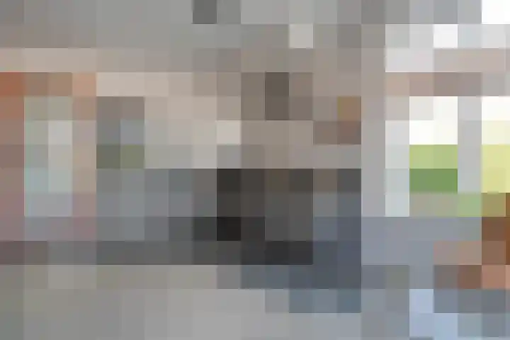 van Dongenstraat 11 Broekland thumbnail 17