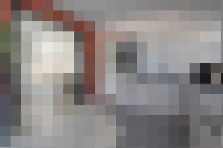 van Dongenstraat 11 Broekland thumbnail 18
