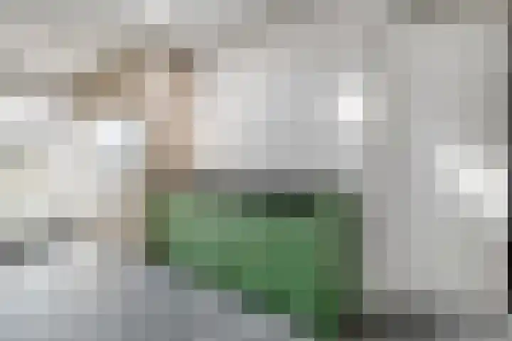 van Dongenstraat 11 Broekland thumbnail 21