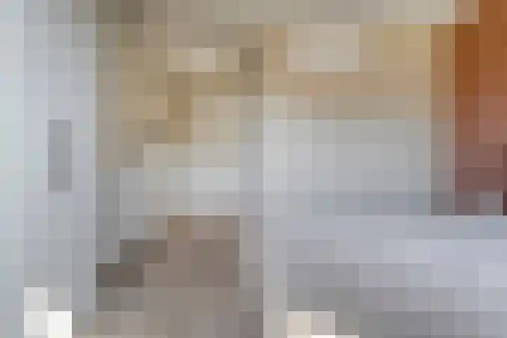 van Dongenstraat 11 Broekland thumbnail 22
