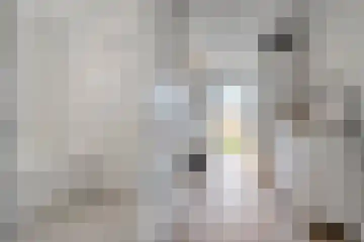 van Dongenstraat 11 Broekland thumbnail 23