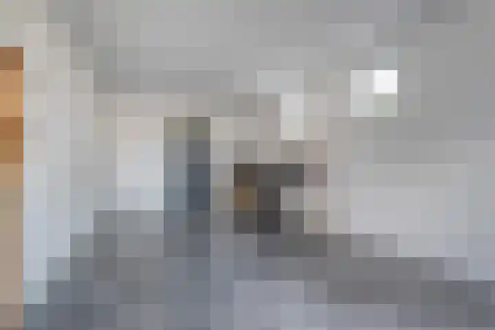 van Dongenstraat 11 Broekland thumbnail 36