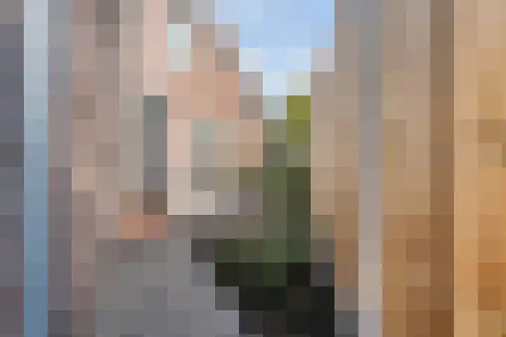 van Dongenstraat 11 Broekland thumbnail 38
