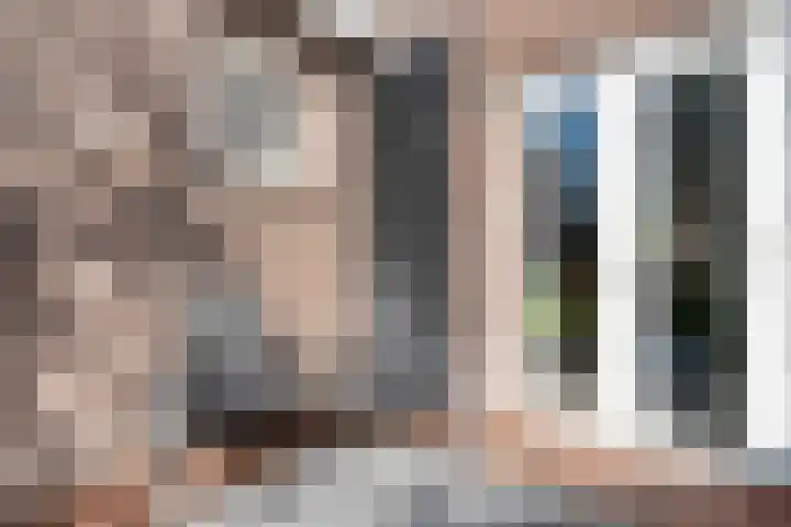 van Dongenstraat 11 Broekland thumbnail 43