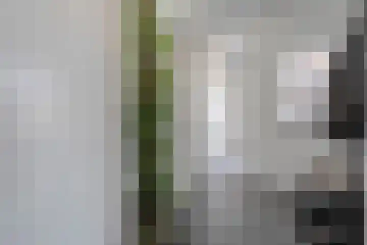 van Dongenstraat 11 Broekland thumbnail 6