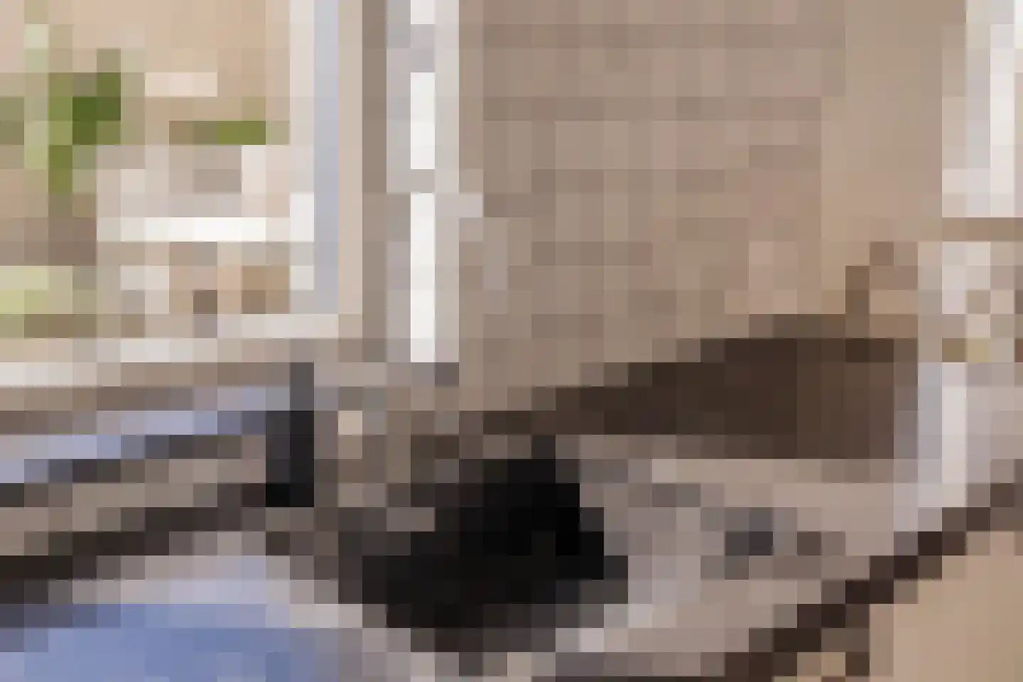 Van Doornicksingel 20 Wateringen thumbnail 19