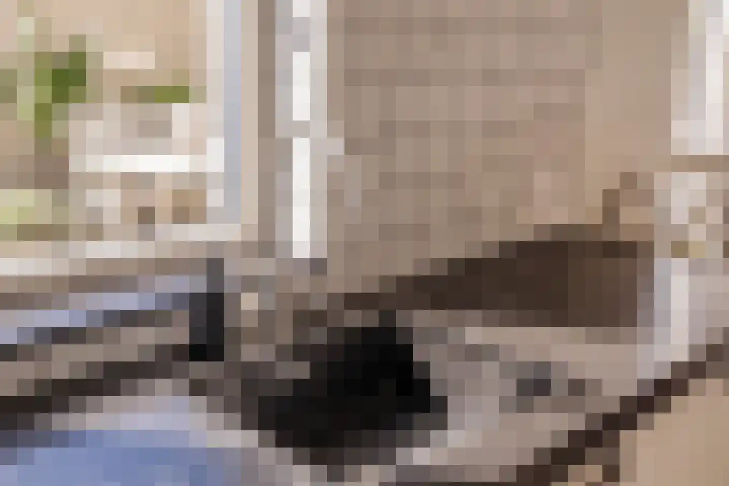 Van Doornicksingel 20 Wateringen thumbnail 19