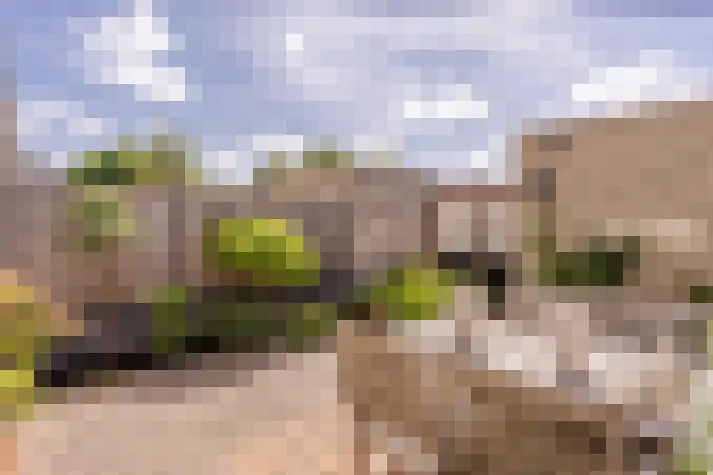 Van Doornicksingel 20 Wateringen thumbnail 23